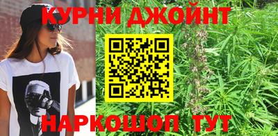 ГАЛЛЮЦИНОГЕННЫЕ ГРИБЫ Будённовск