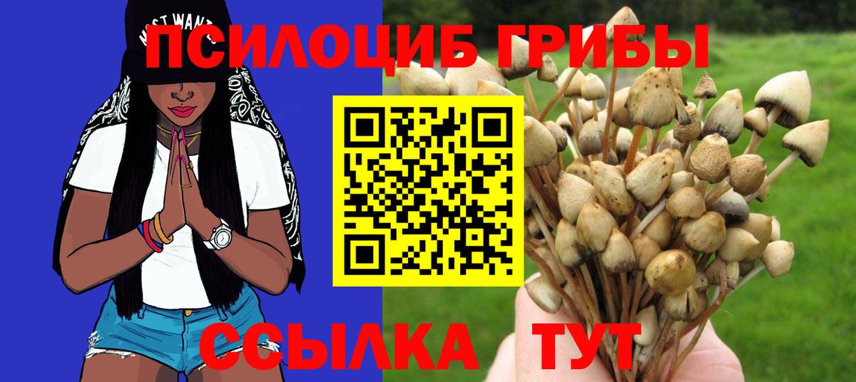 Псилоцибиновые грибы MAGIC MUSHROOMS  Галлюциногенные грибы мухоморы  Вход с VPN  дарнет шоп  Красноперекопск 